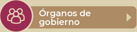 rganos de Gobierno